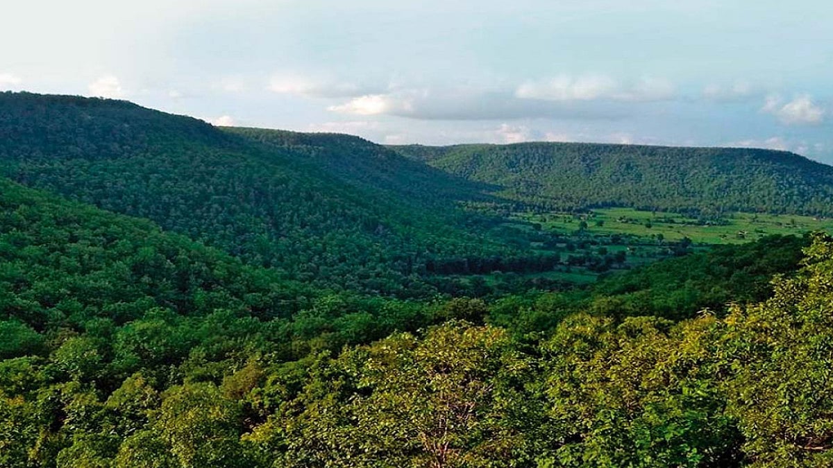 Chhattisgarh: Woman Killed By Wild Elephant In Surajpur