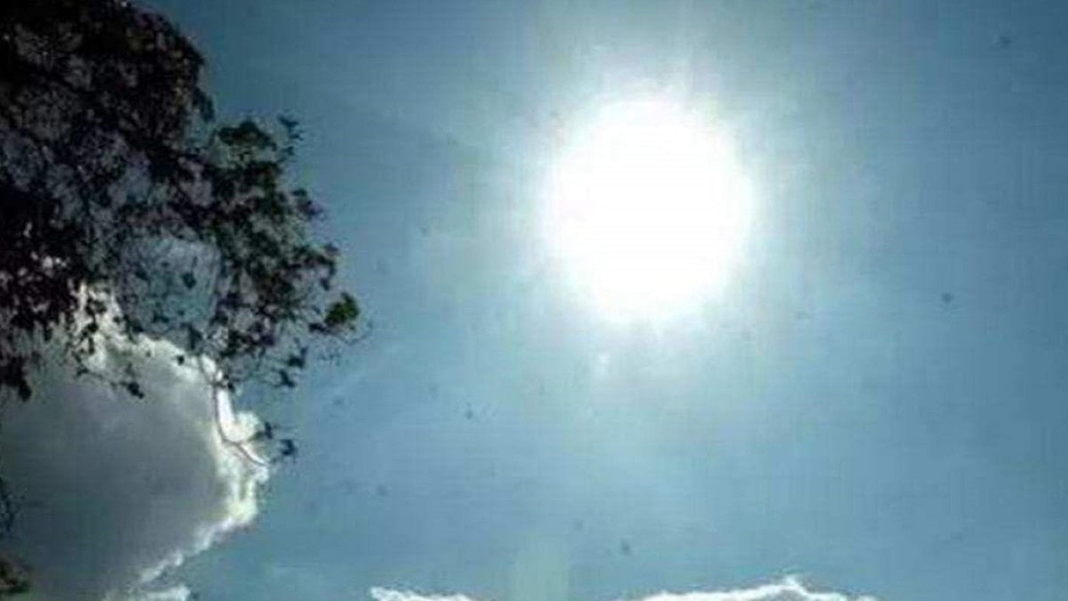 Sunny morning in Delhi