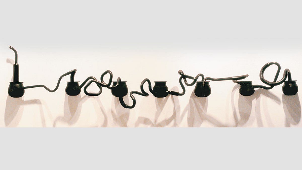 The Indian Diversity