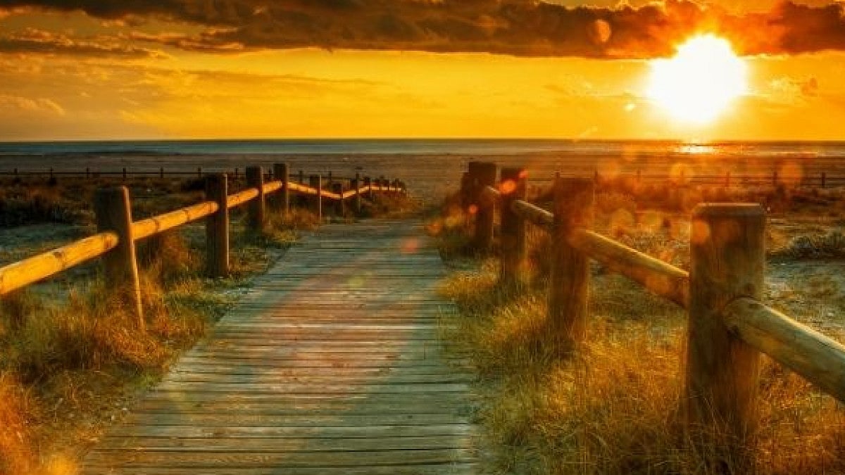 Today comes after the day of love.