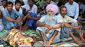 Representative Photo | Punjab has about 32% Scheduled Caste population, highest in India