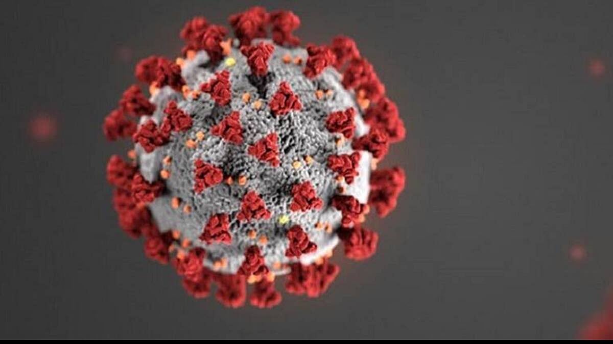 covid, testing, covid testing, kid, children, India, lost guardian