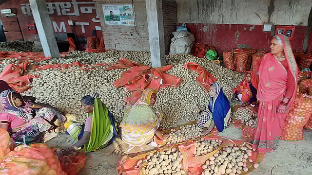 Postcards From Amethi: Dalits Believe SC Act Destroyed Their 'Bond' With Upper Caste