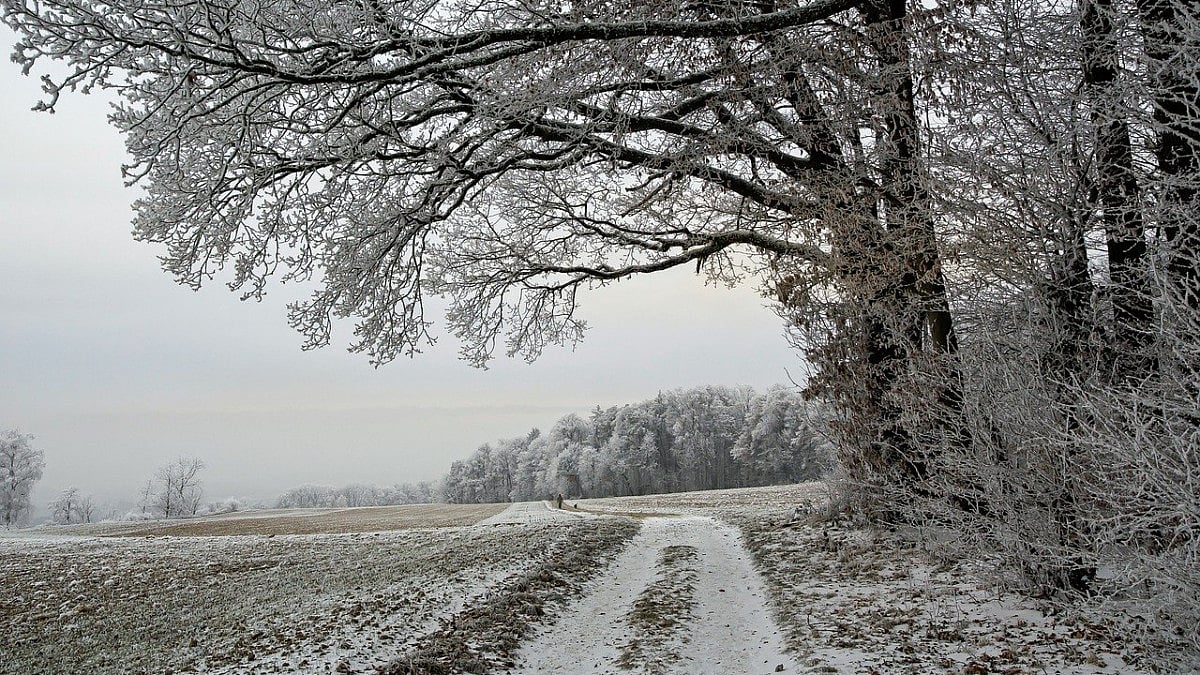 snow, snow fall, snow fall in J&K, Jammu and Kashmir, J&K