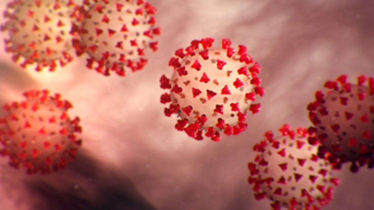 COVID, covid crisis, south korea, coronavirus