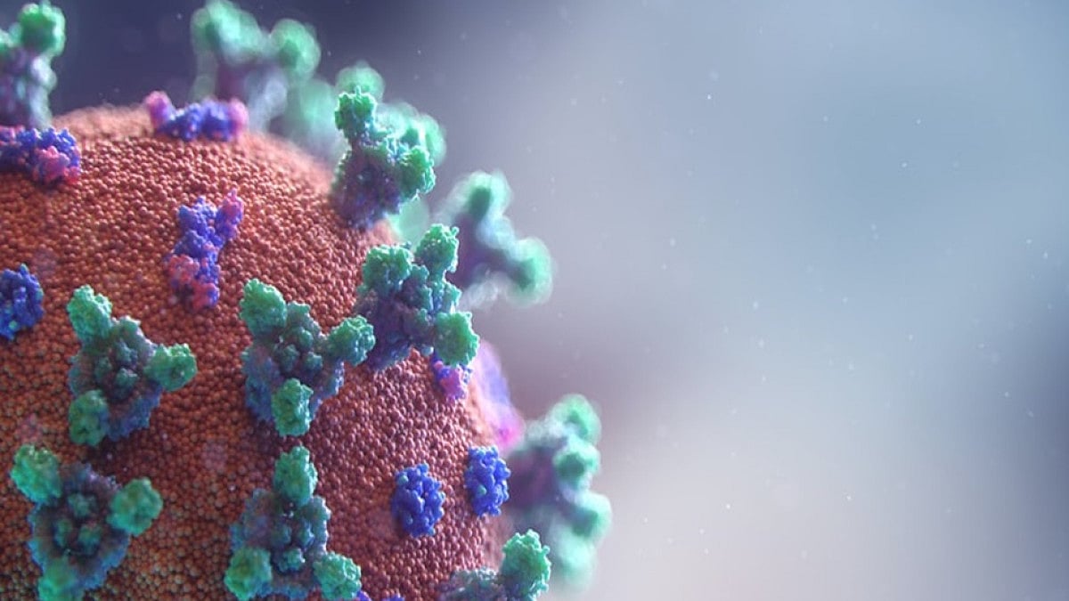 Neem extract, neem, study, science, covid, covid news, vaccine