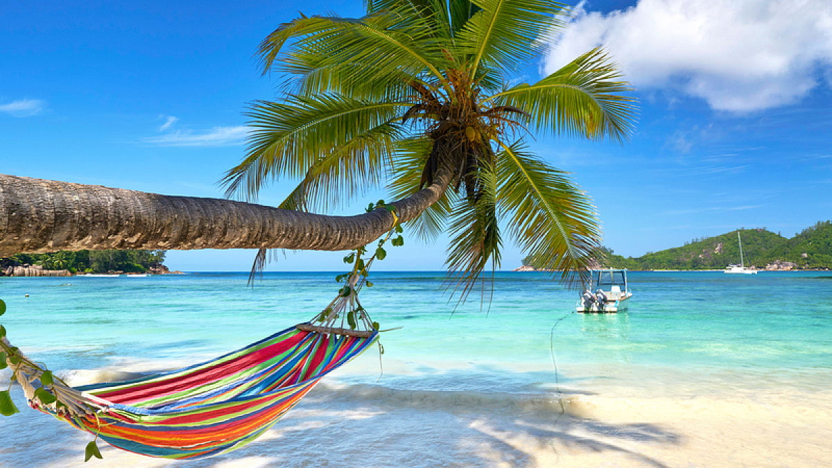 Seaside hammock in the shadow of coconut palm tree at tropical ocean beach 