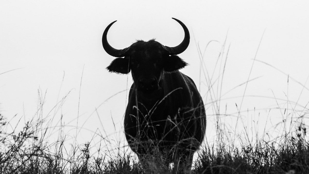 'The things I do for love'