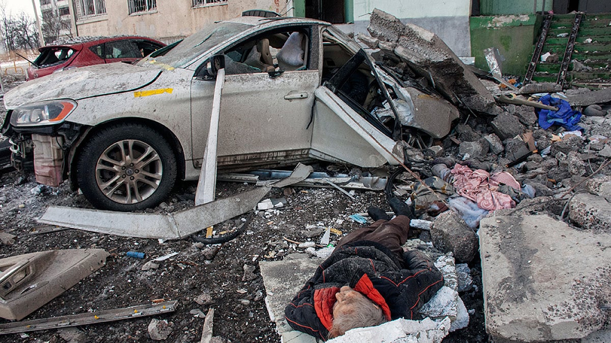 For The Love Of Felines: Can't Leave Ukraine Without Big Cats, Says AP Doc