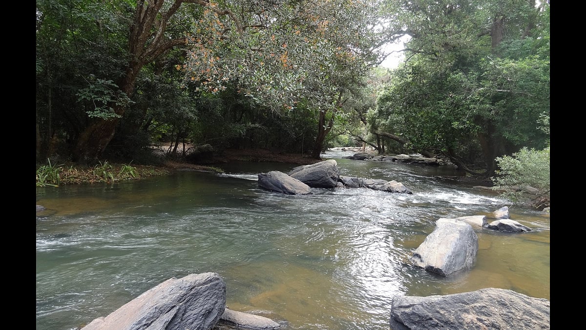 The Kaveri flowing through Nisargadhama in Karnataka