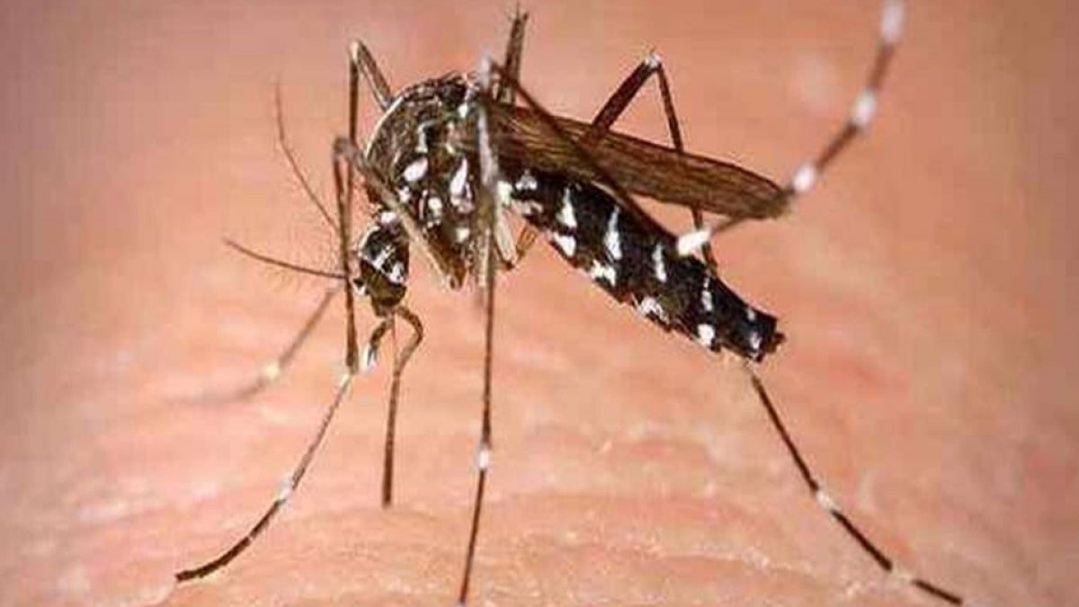 158 Dengue Cases In Delhi So Far This Year