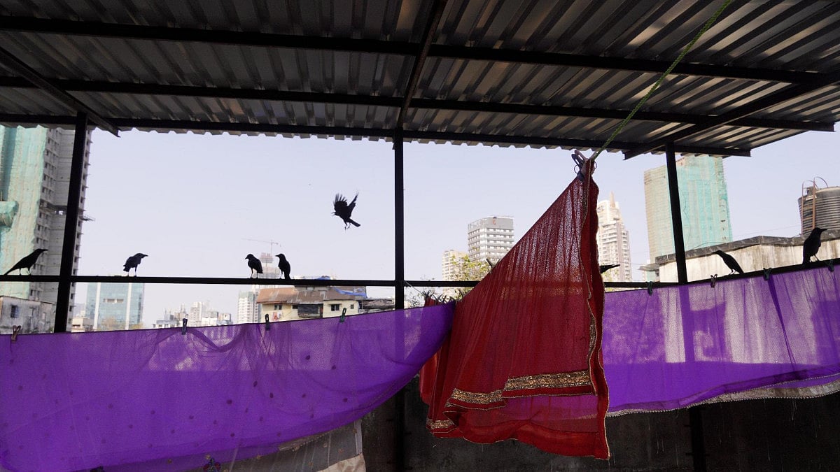 Scenes from Kamathipura