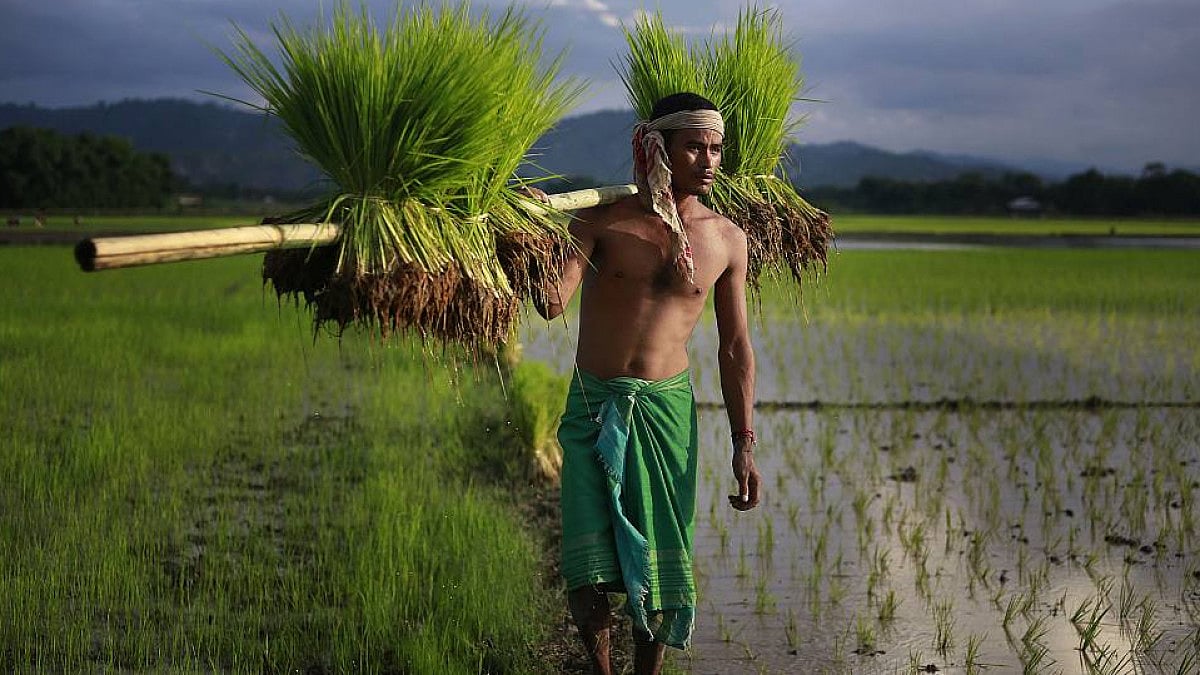 Representative image of farmers.