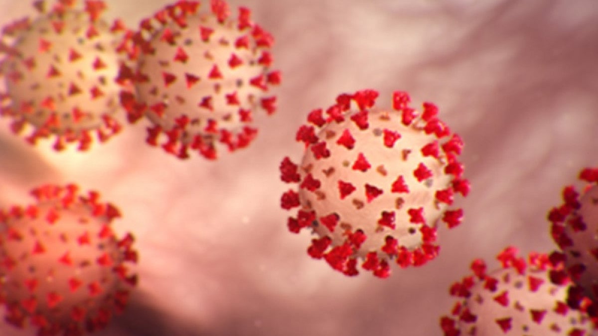 A study suggests COVID-19 infection can result in brain shrinkage.(Representational image)