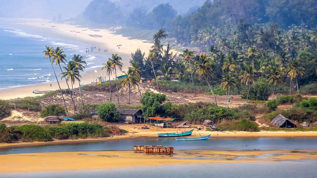 Single-use plastics can damage the beaches in Goa, and cause much harm to marine life
