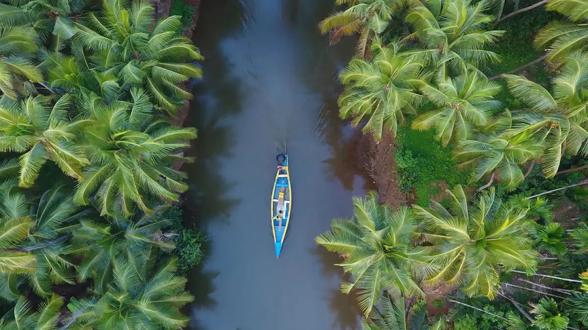 Kerala has a variety of experiences like houseboats, caravan stays, Ayurveda, and more