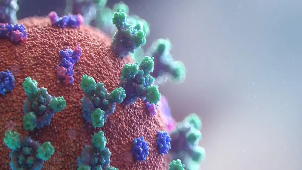 china, covid, covid-19 cases, coronavirus, new variant