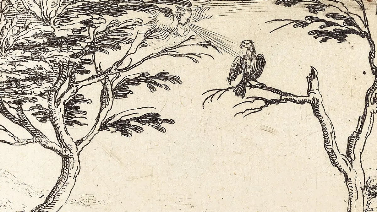 Photograph: Getty Images