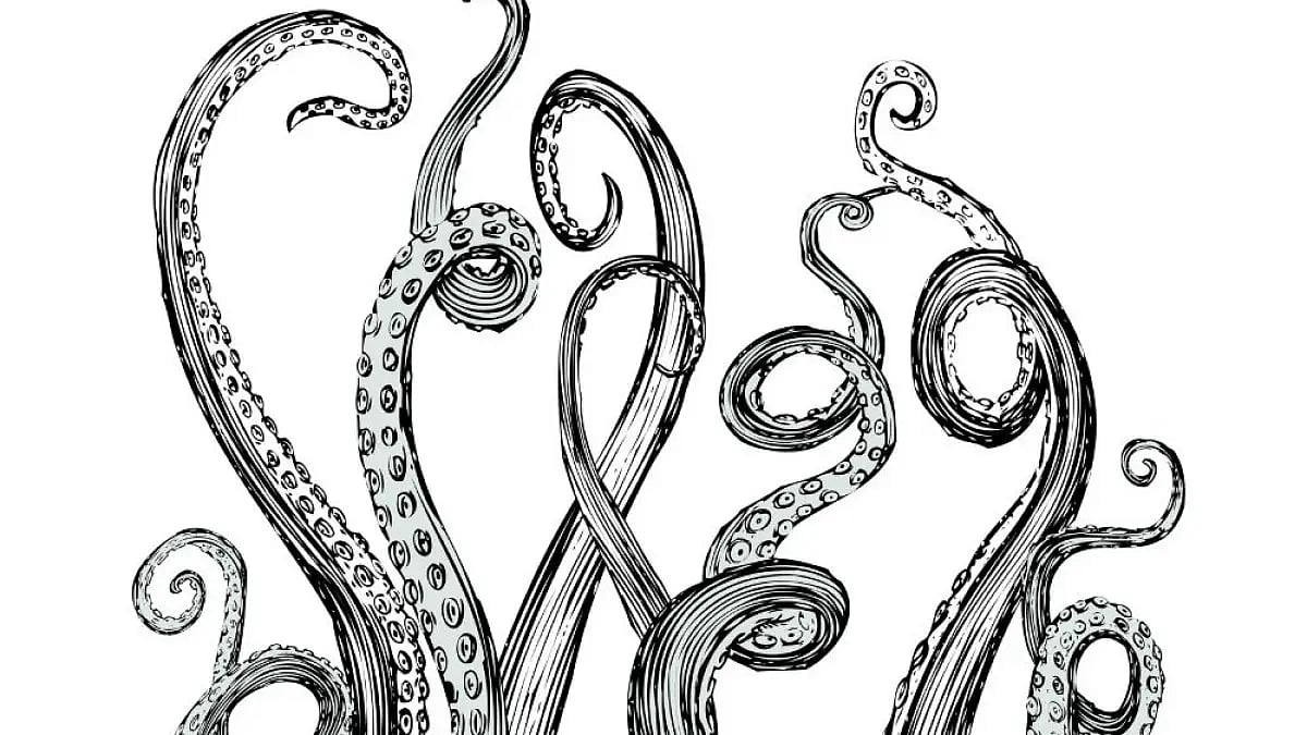 The Octopus (Representative image)