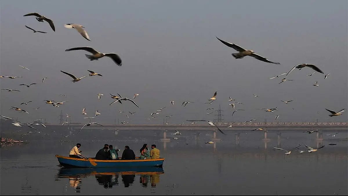 Yamuna River, Delhi to get fishes.(Representational image)