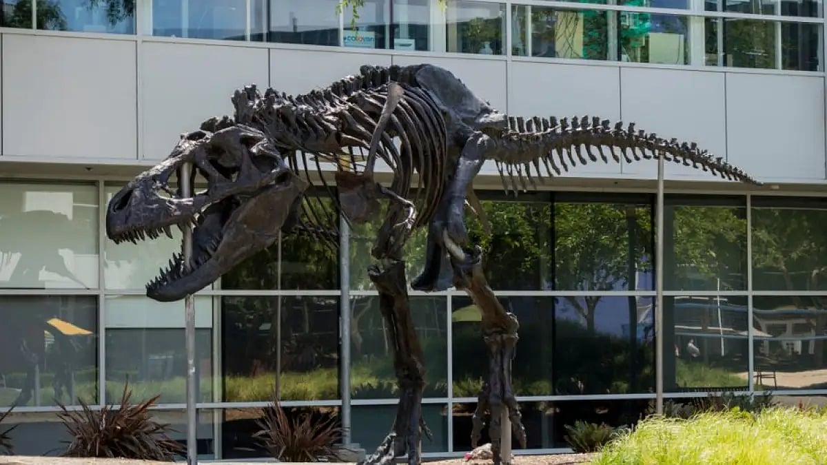 A Tyrannosaurus Rex skeleton at Google's Silicon Valley corporate headquarters in California