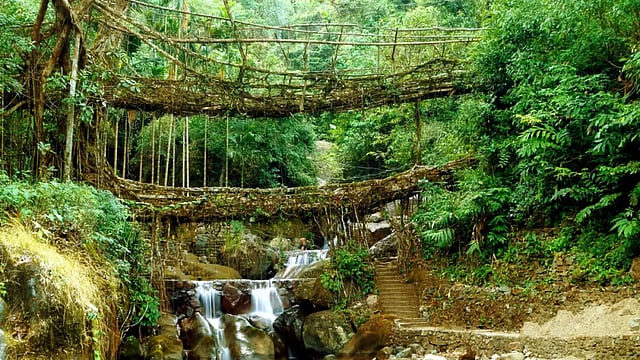 Meghalaya’s Living Root Bridges Find A Spot In Unesco’s Tentative List 