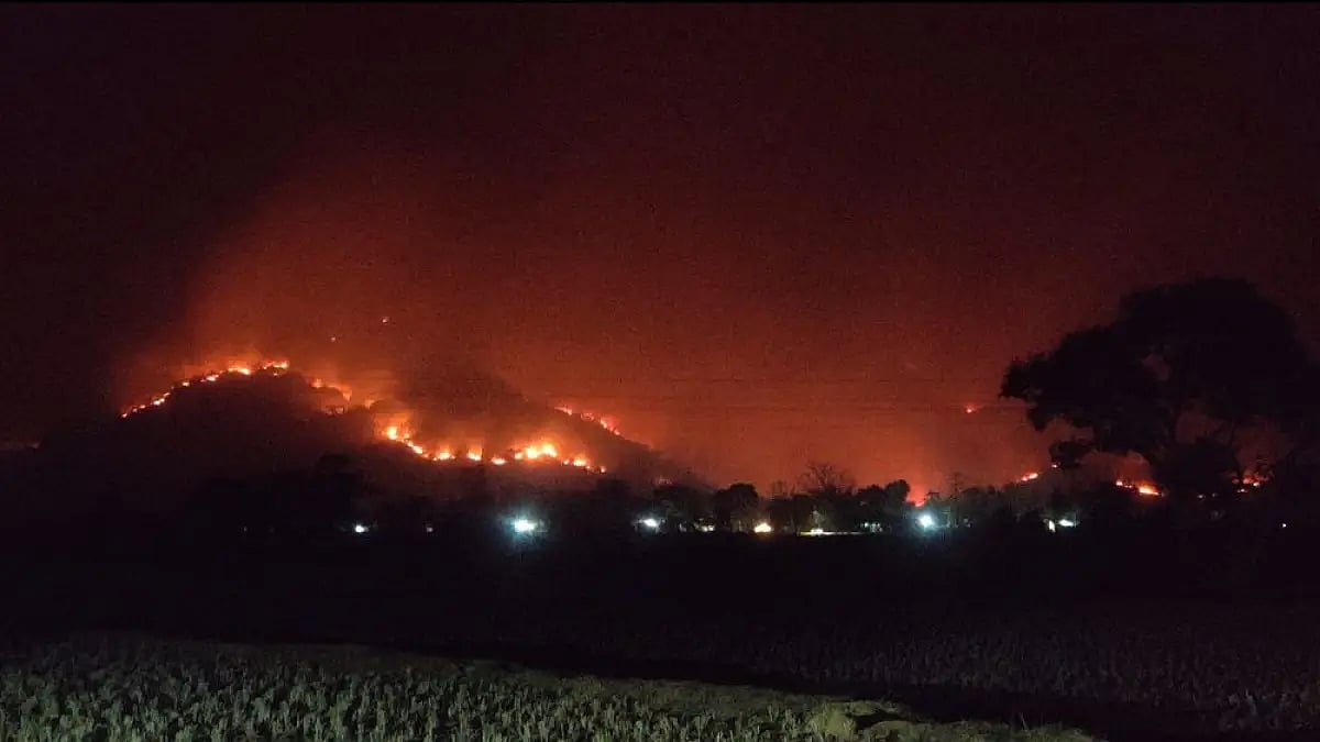 Representative image of a wildfire