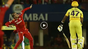 Liam Livingstone celebrates the catch of Dwayne Bravo in CSK vs PBKS IPL 2022 match.