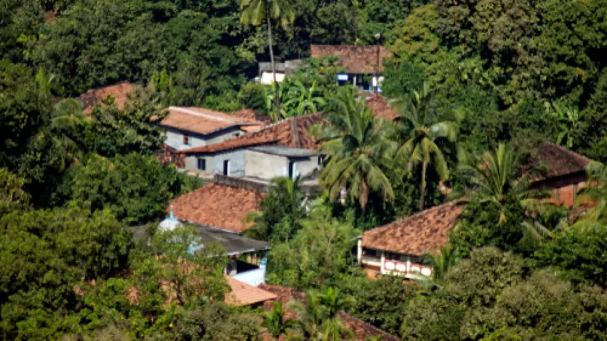 View of a village in Chiplun surrounded by coconut trees and fields