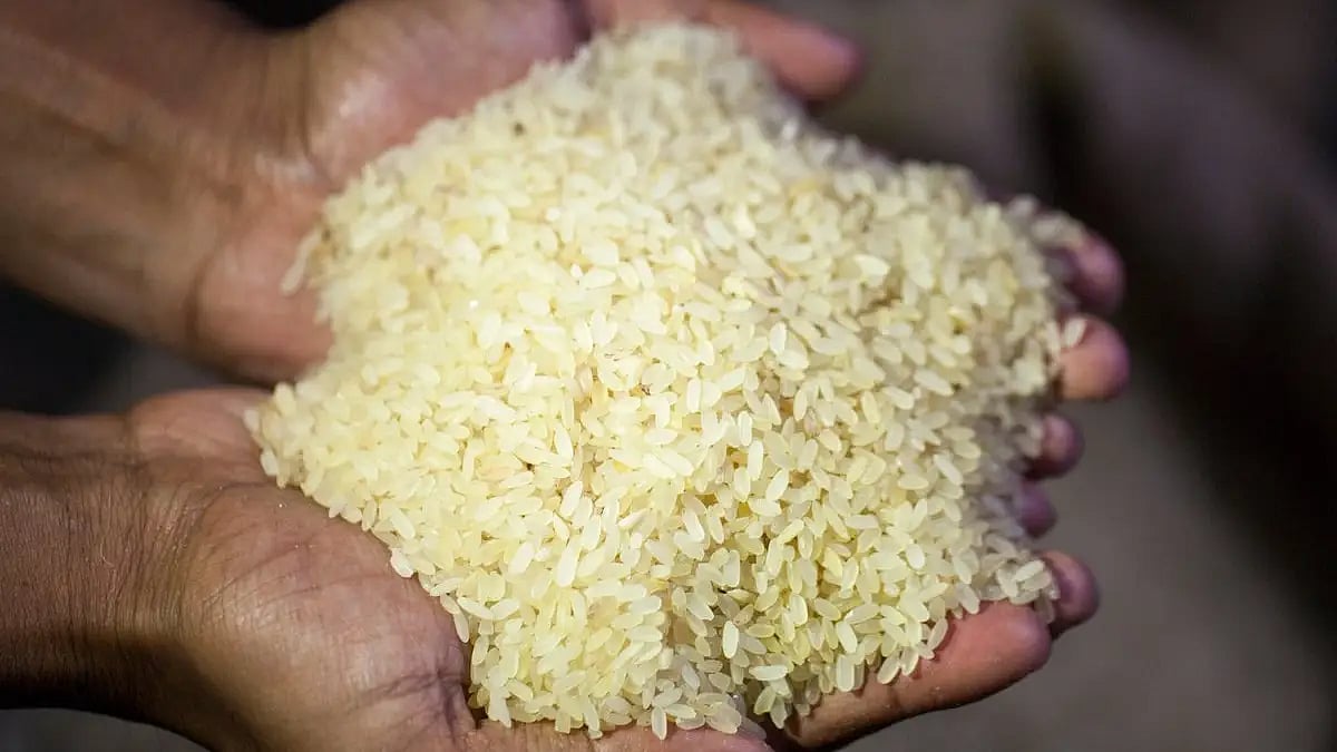 Govt to distribute fortified rice