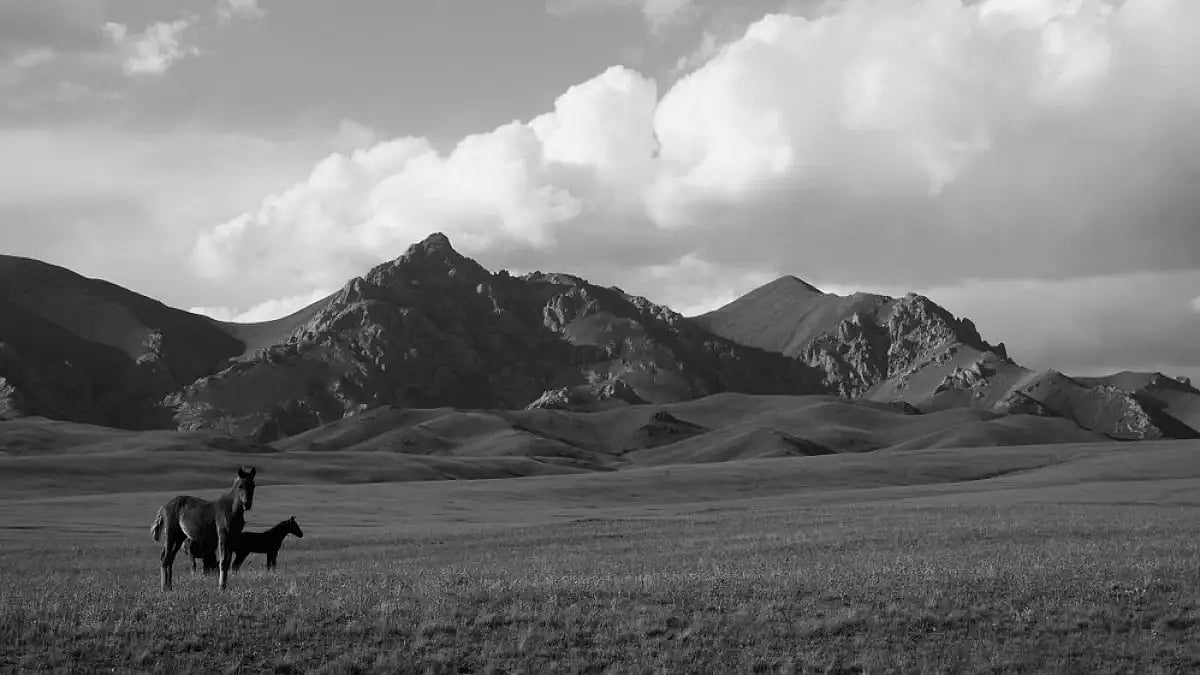 In particular, he views the life of a fictional nomad called Kang who became a horse handler.