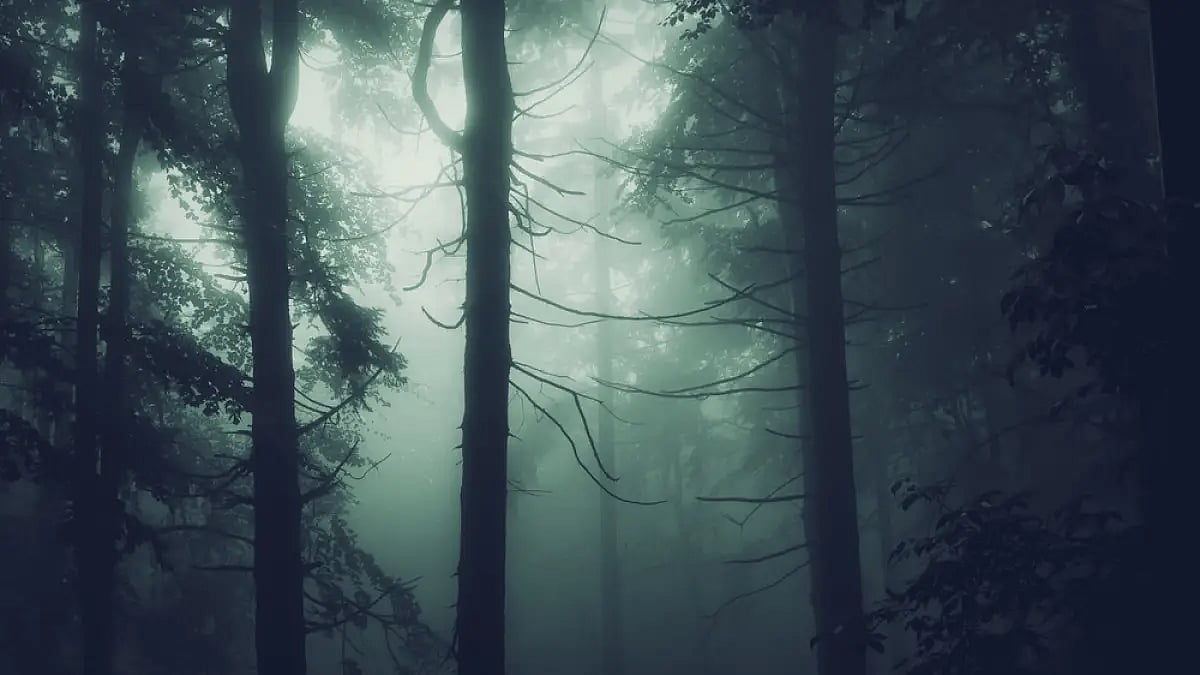 The Ghost That Walked