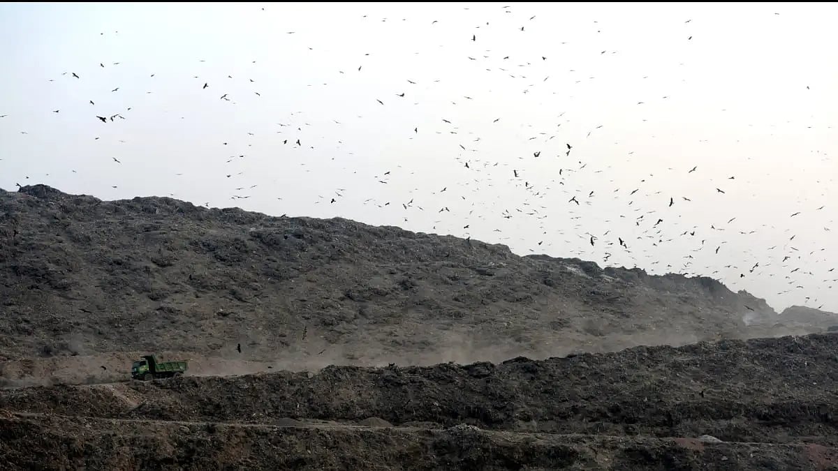 Waste In Delhi (Representational Image)