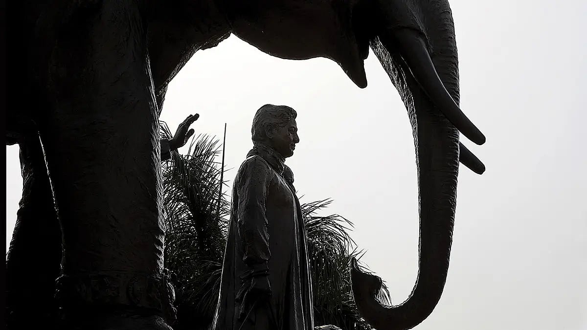 The Slow And Steady Decline Of BSP