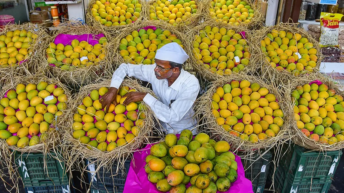 Alphonso mangoes in Mumbai 