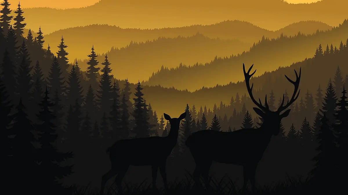 The life of Silas House