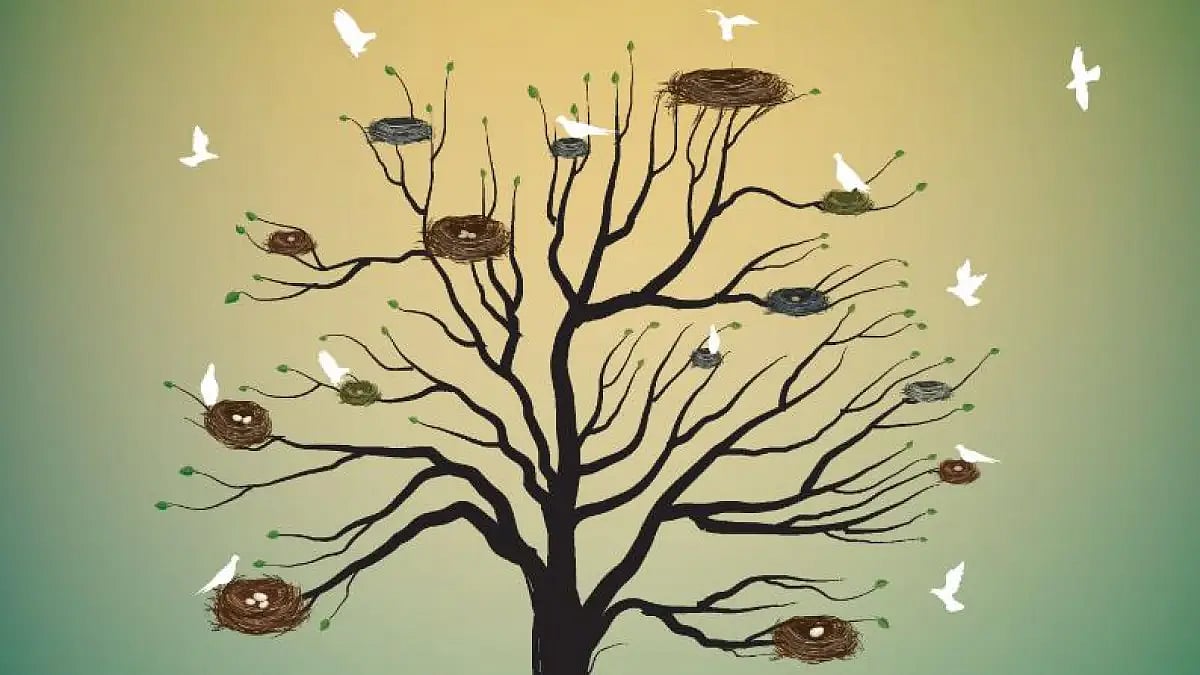 Why does one come back?