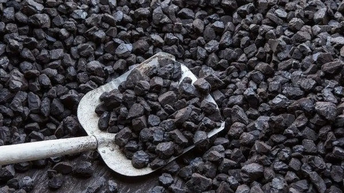 Centre Assures Punjab Of Timely, Regular Coal Supply For Paddy Sowing Season: Minister