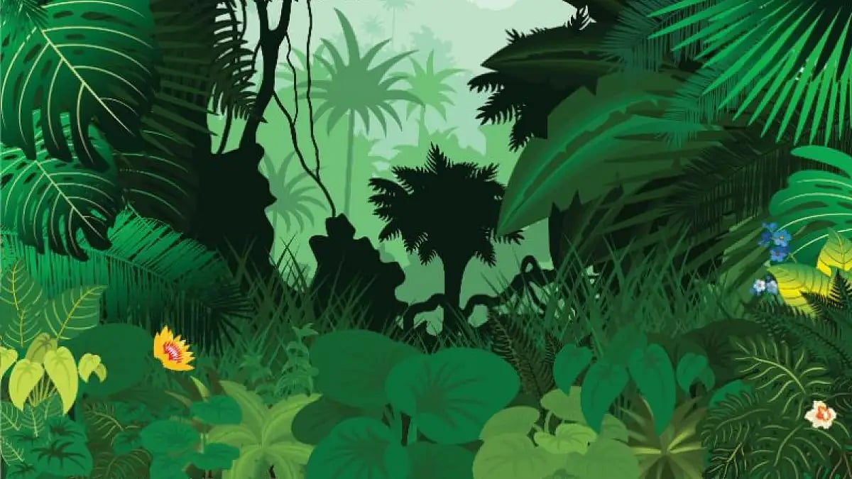 Artistic depiction of a forest