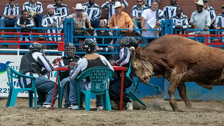 Angola Prison Rodeo - null
