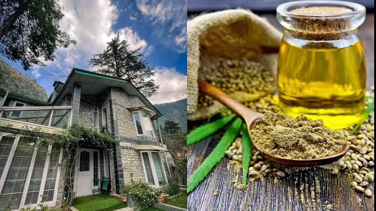 Off Limits is India's first hemp cafe