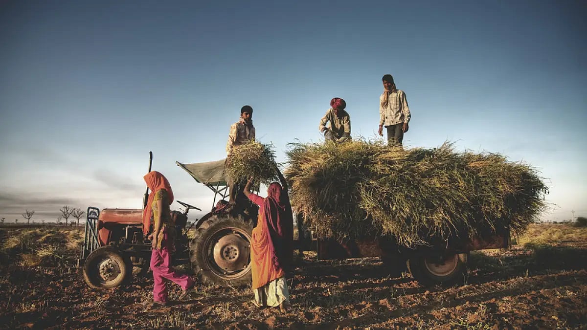 vergreen Revolution becomes absolutely necessary to feed the world in a sustainable manner.