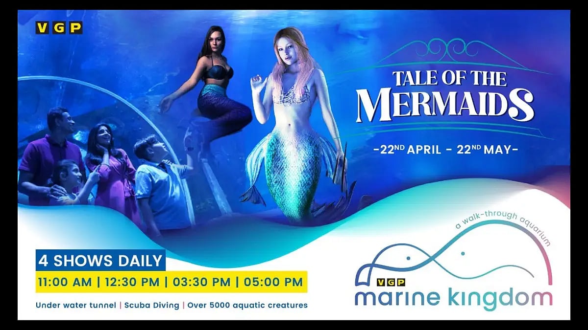 Catch 2 Mermaids At The VGP Marine Kingdom Summer Carnival