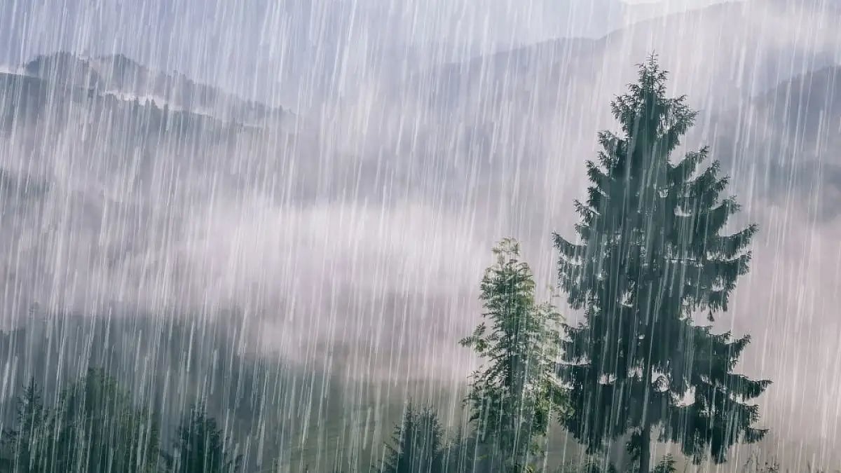 It is raining in January and I can't fly kites.