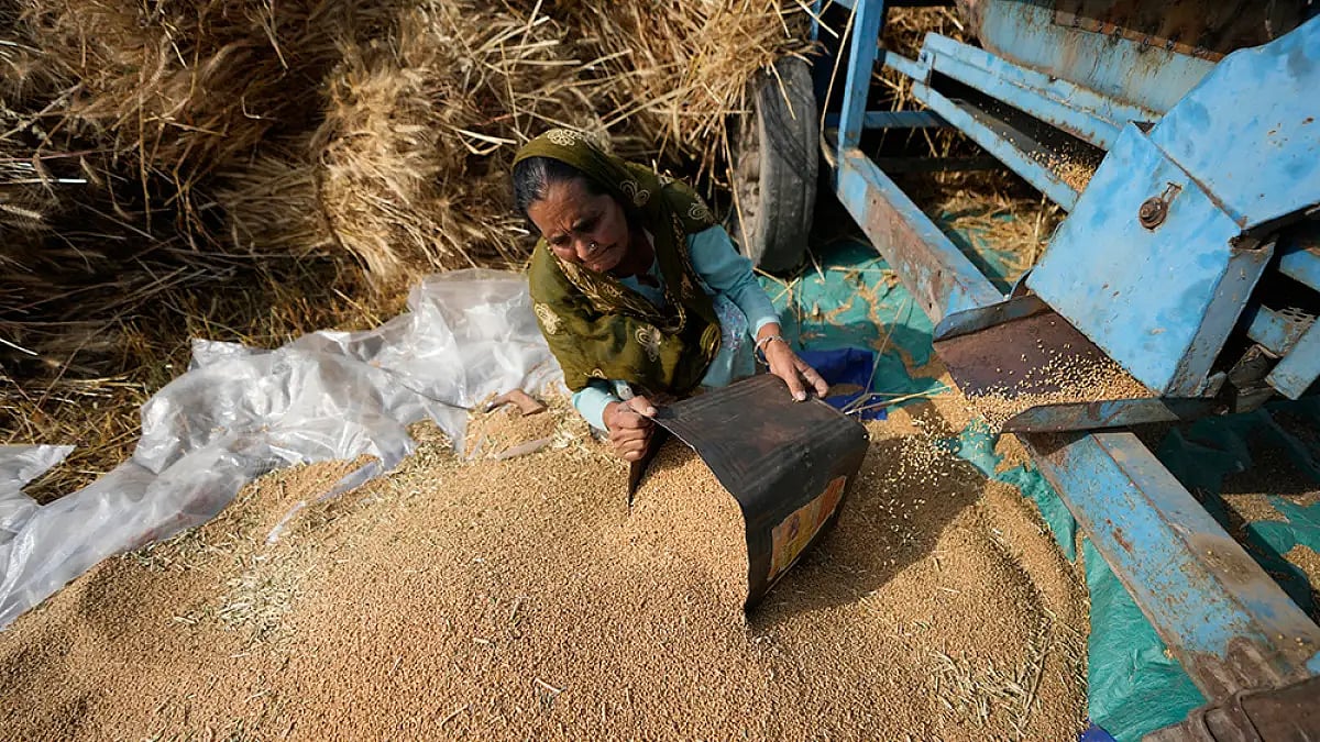 India Wheat Ban: Open Markets Must Not Promote Inequity, Discrimination, Says India At UN