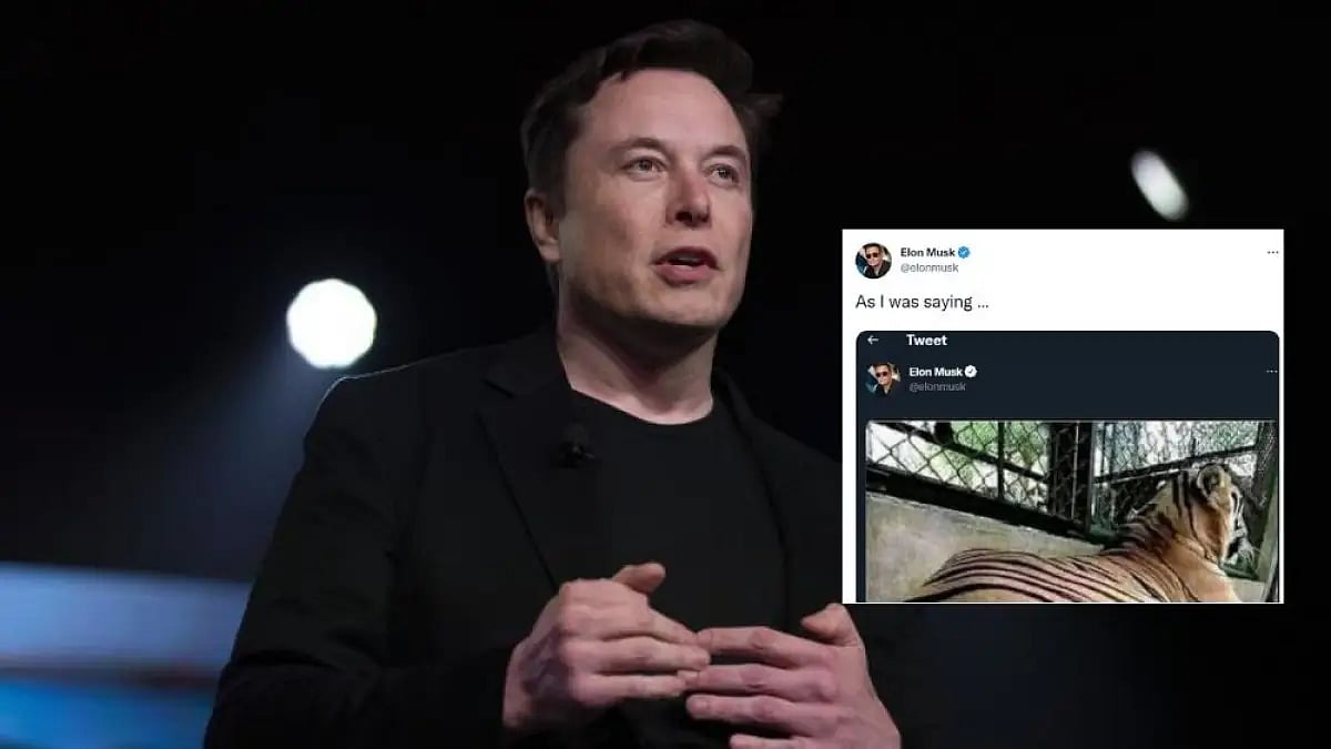 Elon Musk and his recent tweet. (Representative image)