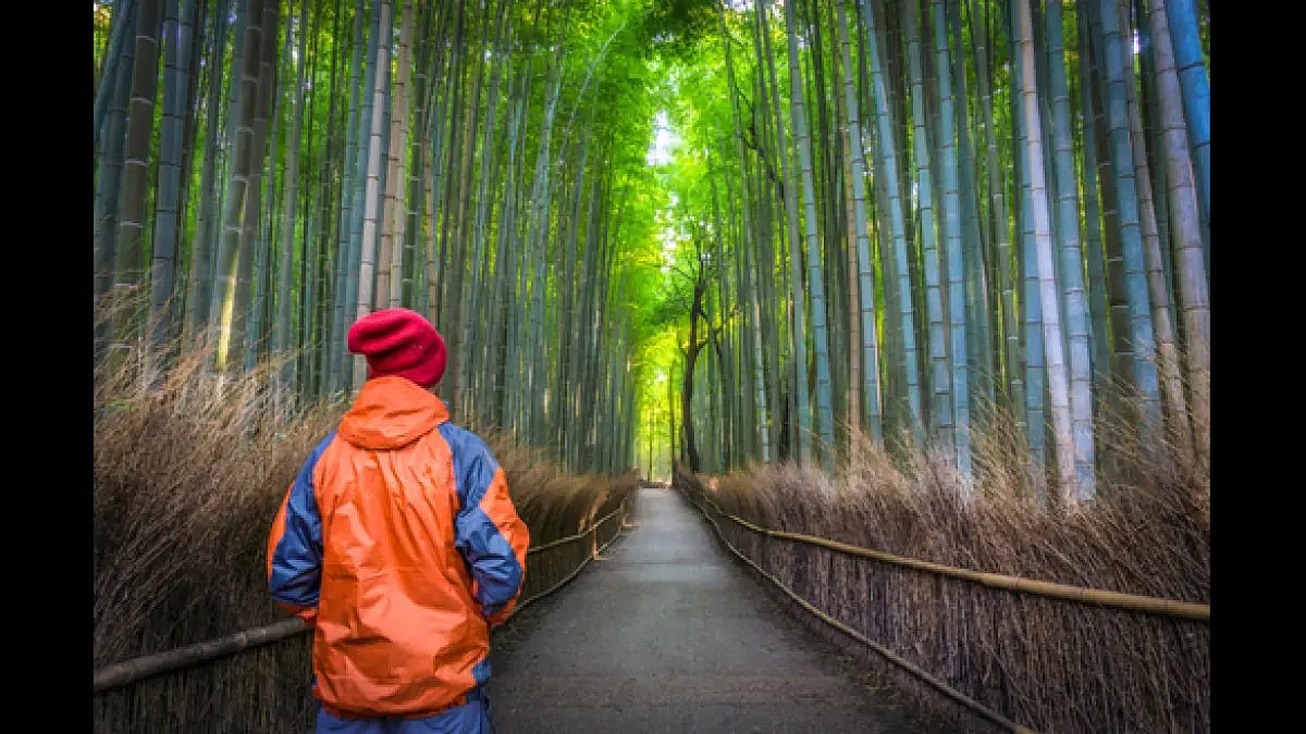 Be a responsible traveller