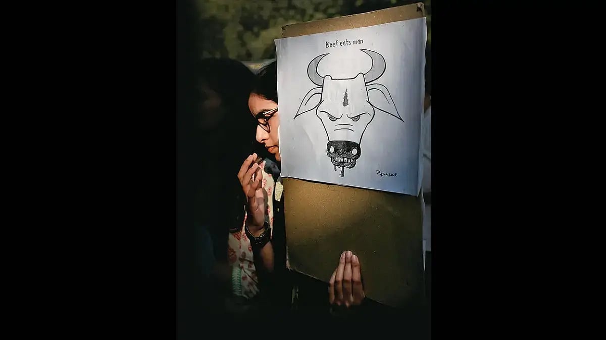 Photograph of a person protesting against an alleged killing over suspected cow slaughter AP