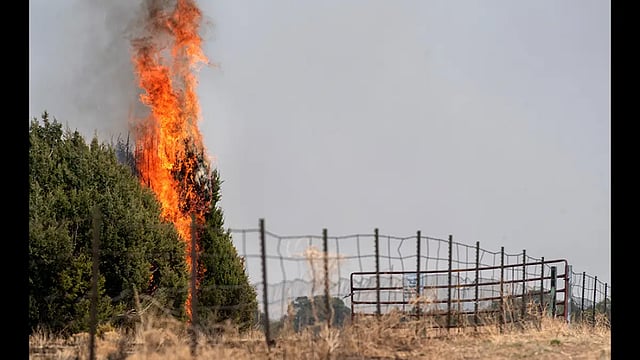 New Mexico Residents Brace For Extreme Wildfire Conditions