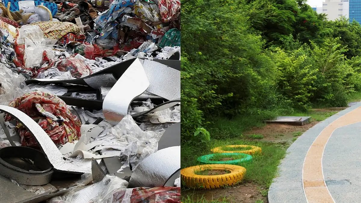 The Badshahpur Forest Corridor transformed from a polluted wasteland to a natural ecosystem habitat 